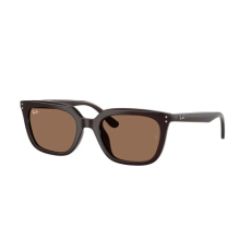 Ray-Ban RB4439D 623173