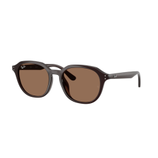 Ray-Ban RB4459D 623173 Opal Brown Dark Brown napszemüveg