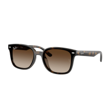 Ray-Ban RB4461D 710/13 Havana Gradient Brown napszemüveg