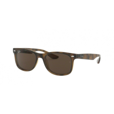 Ray-Ban RB9052S 152/73