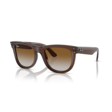 Ray-Ban RBR0502S 6709CB WAYFARER REVERSE TRANSPARENT BROWN CLEAR/BROWN GRADIENT napszemüveg napszemüveg