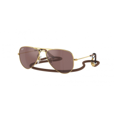Ray-Ban RJ9506S 223/6G