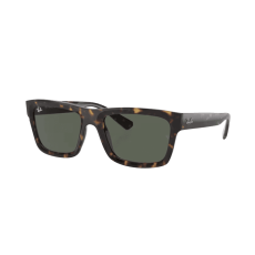 Ray-Ban Warren RB4396 135971
