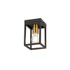 Reality Cage size: 120x120x180mm 1xE27/max.40W(bulb excl.) black matt with galvanized matt gold socket cup - REAL-638701-02