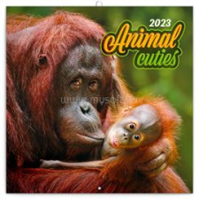 REALSYSTEM 2023-as Animal Cuties 6097-AC falinaptár (6097-AC) naptár, kalendárium