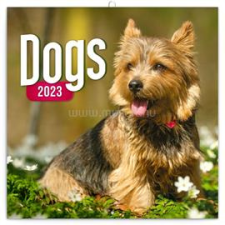 REALSYSTEM 2023-as Dogs 6097-DO falinaptár (6097-DO) naptár, kalendárium