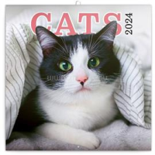 REALSYSTEM 2024-es Cat 6097-CA falinaptár (6097-CA) naptár, kalendárium