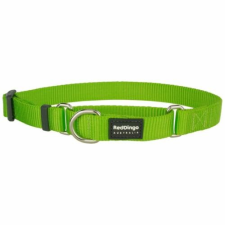 Red Dingo Lime Large Martingale nyakörv nyakörv, póráz, hám kutyáknak