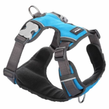 Red Dingo Padded dog hám Large Turquoise nyakörv, póráz, hám kutyáknak