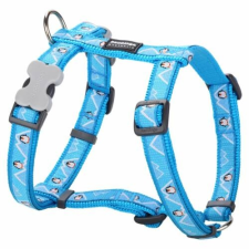 Red Dingo Penguin Turquoise XS Dog hám nyakörv, póráz, hám kutyáknak