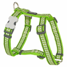 Red Dingo Reflective Lime Medium Dog hám nyakörv, póráz, hám kutyáknak