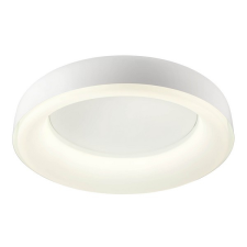REDO Dip fehér LED mennyezeti lámpa (RED-01-3941) LED 1 izzós IP20 világítás