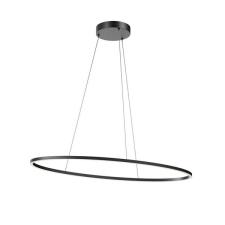 REDO Leo fekete LED függesztett lámpa (RED-01-3339) LED 1 izzós IP20 világítás