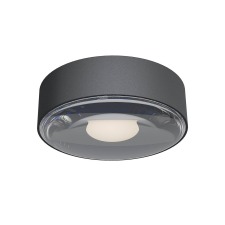 REDO Log sötétszürke LED kültéri mennyezeti lámpa (RED-90412) LED 1 izzós IP65 kültéri világítás