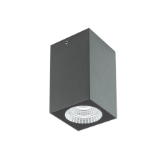 REDO Quad sötétszürke LED kültéri mennyezeti lámpa (RED-90091) LED 1 izzós IP65 kültéri világítás