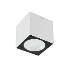 REDO Teko fehér LED kültéri mennyezeti lámpa (RED-90103) LED 1 izzós IP65 kültéri világítás