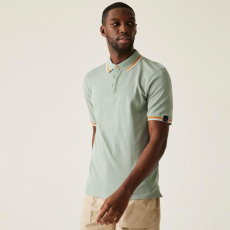 Regatta Adryan Polo Férfi pamut piké póló színes