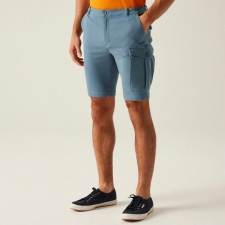 Regatta Bendrick Shorts Férfi short színes férfi rövidnadrág