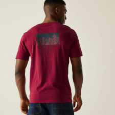 Regatta Cline IX Férfi póló bordó férfi póló