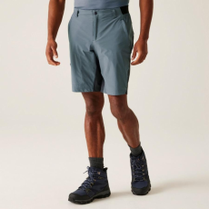 Regatta Eldes Shorts Férfi technikai short színes