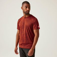 Regatta Fingal Edition férfi gyorsan száradó póló színes