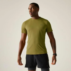 Regatta Mindo AIsct S/S T Férfi póló barna