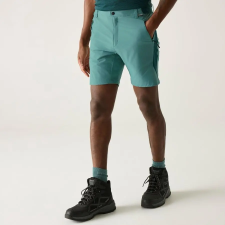 Regatta Mountain Shorts Férfi technikai short színes férfi rövidnadrág
