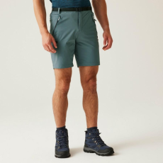 Regatta Xert StrShort III férfi technikai short színes