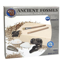  Régész szett - Fosszíliák (61905) oktatójáték