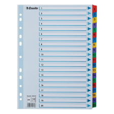 Regiszter ESSELTE Mylar A/4 karton 1-20 regiszter és tartozékai