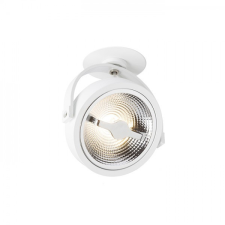Rendl Light KELLY LED DIMM félsüllyesztett fehér 230V LED 12W 24° 3000K világítás