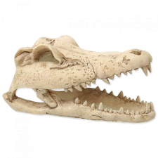 Repti Planet 108372 Terrárium dekoráció krokodil koponya 13,8x6,8x6,5cm hüllőfelszerelés