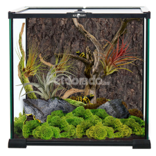 Repti Planet Mini Glass Terrárium - 30cm X 30cm X 30cm hüllőfelszerelés