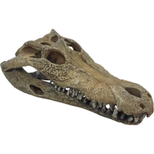 Repto | DECO CROCODILE | Krokodil koponya, dekoráció - L kisállatfelszerelés