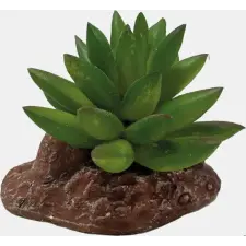 Repto Plant Aloes | Aloe műnövény kisállatfelszerelés