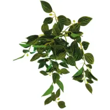 Repto | PLANT HANGING GREEN | Lógó növény, zöld színű - 46 cm kisállatfelszerelés