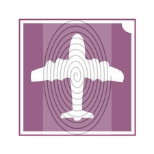 Repülő (csss0546) csillámtetoválás
