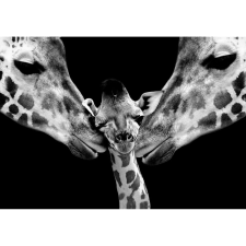 Retro-Gift Giraffe Family - Retro-Gift Nagy táblakép 39 cm x 27 cm grafika, keretezett kép