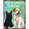 Retro-Gift hűtőmágnes Dogs are Miracles with Paws 9 cm x 6,5 cm