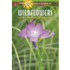 RIO NUEVO PUBL WILDFLOWERS OF THE DESERT SOUT – Meg Quinn (Puha kötésű)