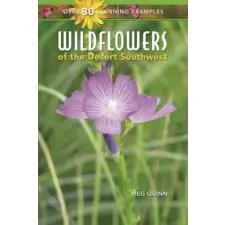 RIO NUEVO PUBL WILDFLOWERS OF THE DESERT SOUT – Meg Quinn (Puha kötésű) idegen nyelvű könyv