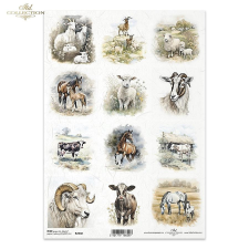  Rizspapír - Lovak, kecskék, tehenek dekorációs kellék