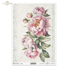  Rizspapír, pünkösdi rózsa dekorációs kellék