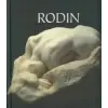  RODIN