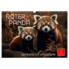 Roter Panda - gefährdeter Katzenbär (Wandkalender 2026 DIN A3 quer), CALVENDO Monatskalender