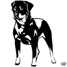  Rottweiler autómatrica matrica