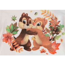 Rövid ujjú baba body Chip és Dale mintával kombidressz, body