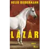 Rowohlt Berlin Lázár | Nelio Biedermann