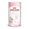 Royal Canin Babycat Milk tejpótló cicáknak 300gr