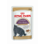 Royal Canin British Shorthair Adult 12x85g